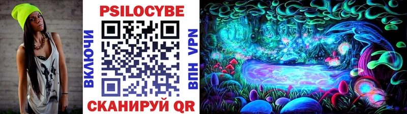 mega tor  Тула  Псилоцибиновые грибы Psilocybe  купить наркотики сайты 
