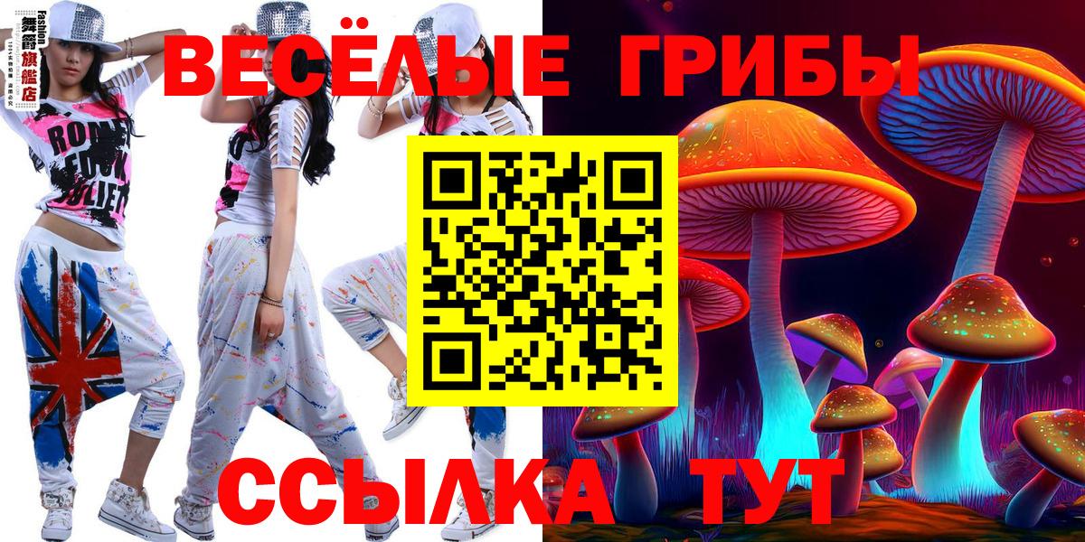 Псилоцибиновые грибы ЛСД Тула