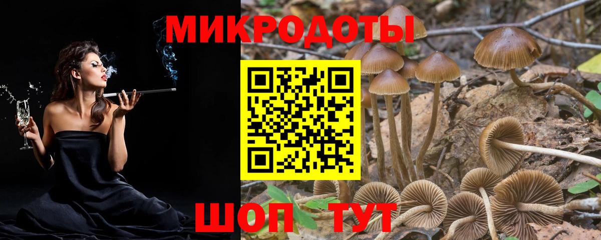 Галлюциногенные грибы Cubensis  Вход с VPN  Тула 
