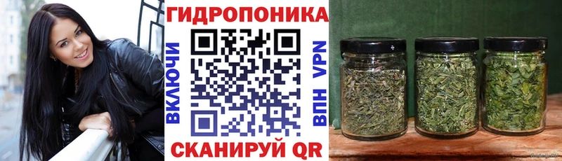 Шишки марихуана OG Kush  наркотики  Тула 